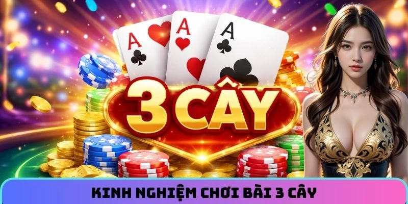 bai-3-cay-mien-bac-kinh-nghiem
