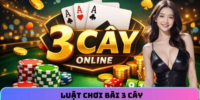 bai-3-cay-mien-bac-luat