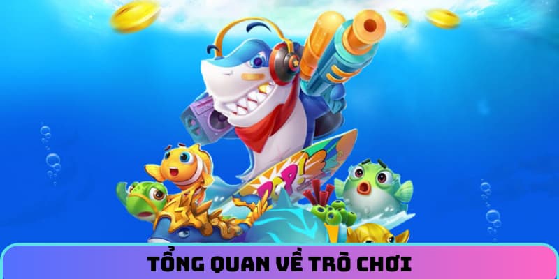 ban-ca-xeng-tong-quan