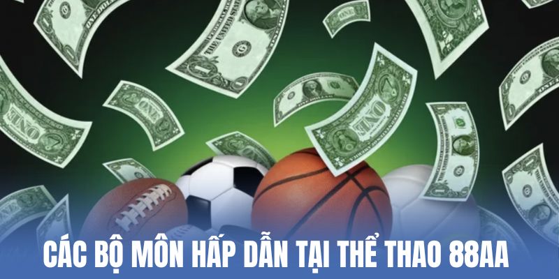 cac-bo-mon-hap-dan-tai-the-thao-88aa