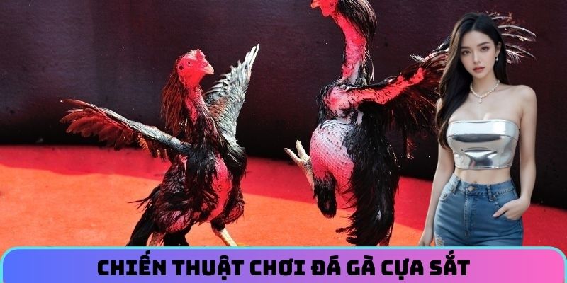 chien-thuat-choi-da-ga-cua-sat