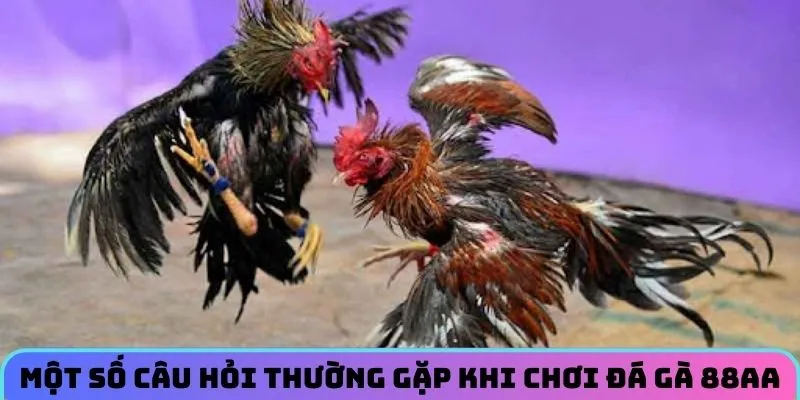 da-ga-88aa-cau-hoi
