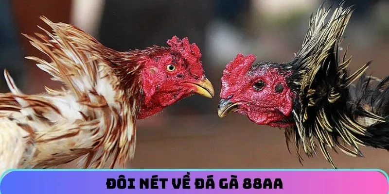 da-ga-88aa-doi-net