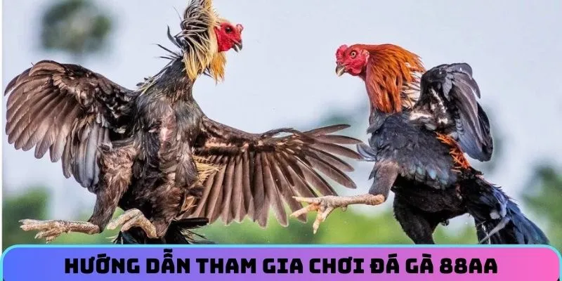 da-ga-88aa-huong-dan