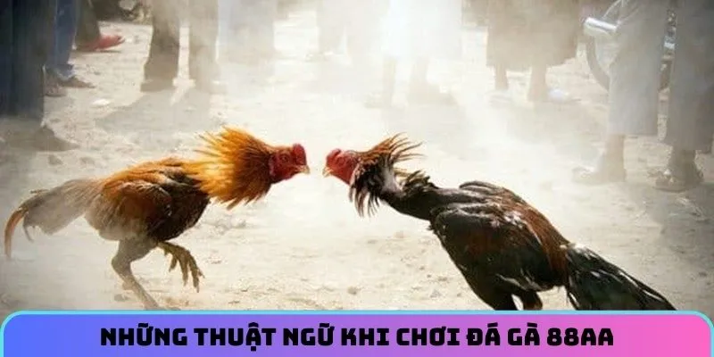 da-ga-88aa-thuat-ngu