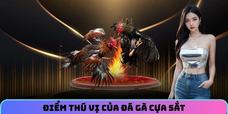 diem-thu-vi-cua-da-ga-cua-sat