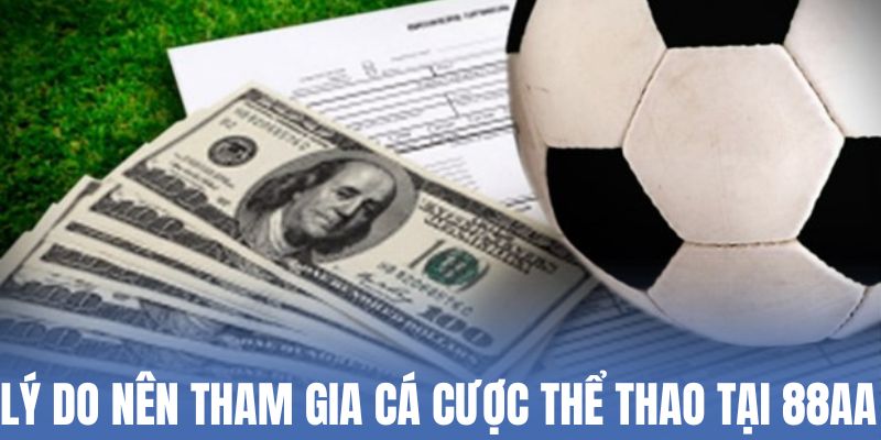ly-do-nen-tham-gia-ca-cuoc-the-thao-tai-88aa