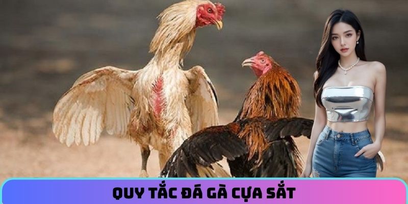 quy-tac-da-ga-cua-sat
