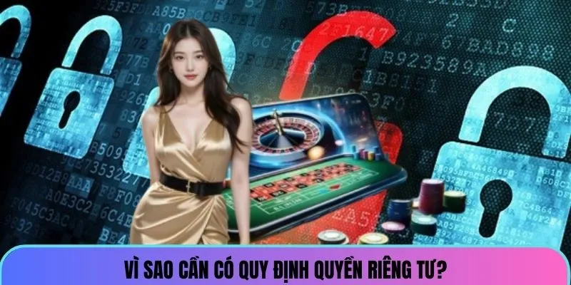 vi-sao-can-co-quy-dinh-quyen-rieng-tu