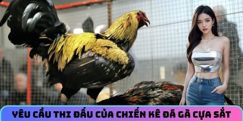 yeu-cau-thi-dau-cua-cac-chien-ke-da-ga-cua-sat